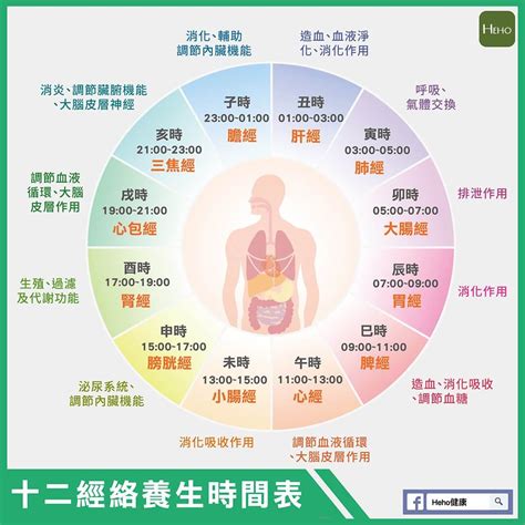 經絡刷功效|一張圖看十二經絡養生時間表，依循作息養生事半功倍！